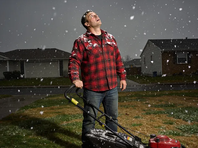 Landscapers doing winter work